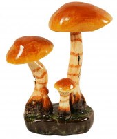 LORENZEN 'CORTINARIUS ARMILLAT