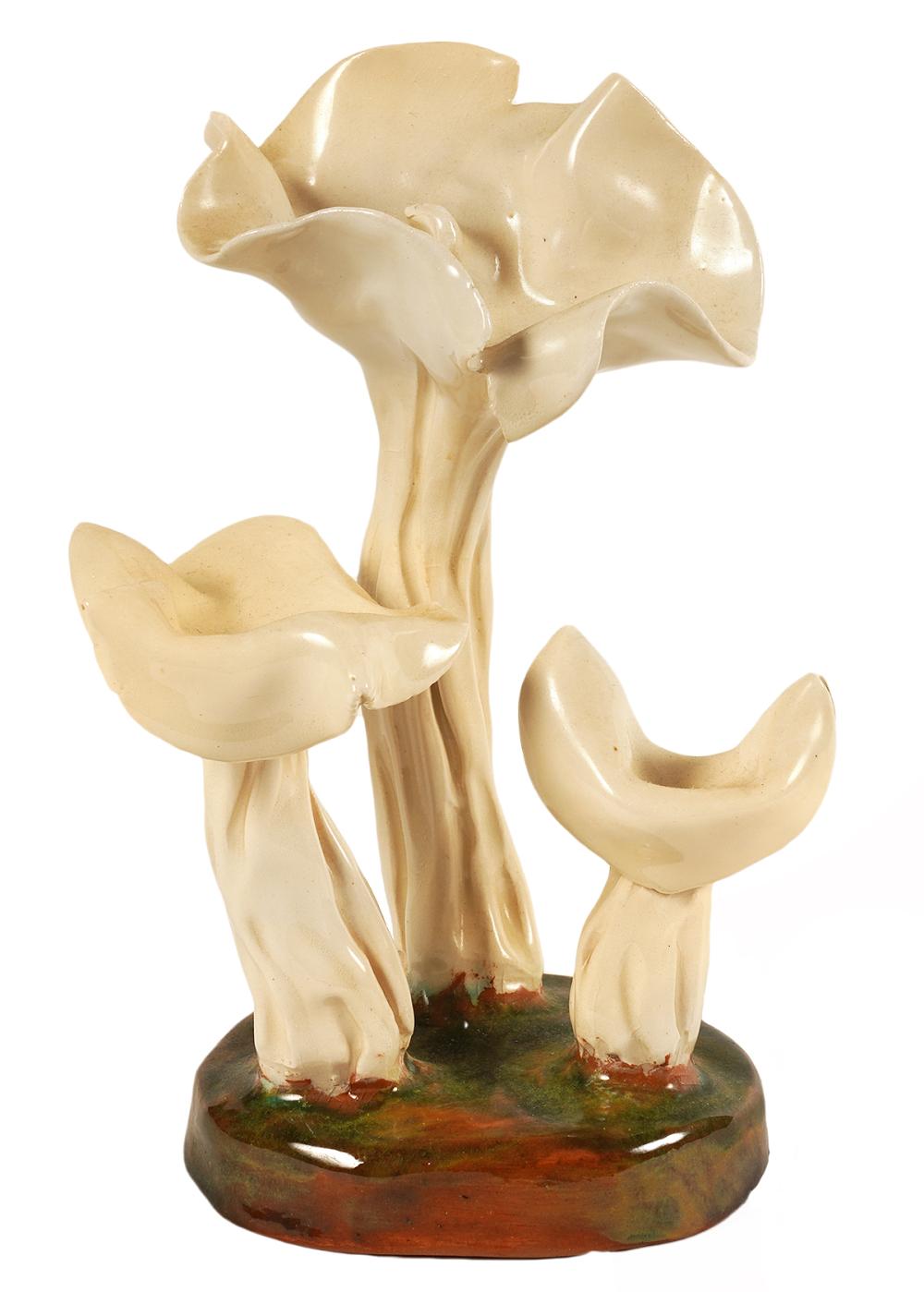 LORENZEN 'HELVELLA CRISPA' MUSHROOM