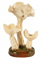 LORENZEN 'HELVELLA CRISPA' MUS