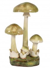 LORENZEN MUSHROOM 'AMANITA PHA