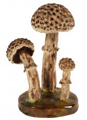 LORENZEN 'STROBILOMYCES FLOCCO