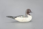 LOS BANOS PINTAIL DRAKELos Ban