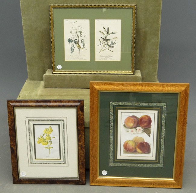 Lot (3) various study prints.