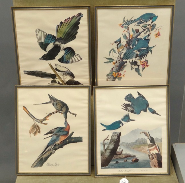 Lot four bird prints. Sight 16