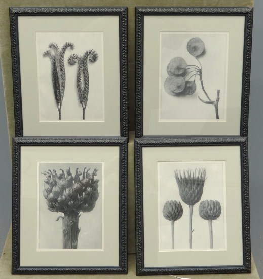 Lot four decorative framed prints.