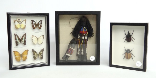 Lot including framed insects and