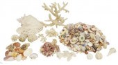 (LOT) LARGE COLLECTION OF SEAS