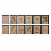 (LOT OF 11) BOTANICAL BOOKPLAT