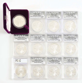 LOT OF 12: AMERICAN SILVER EAG