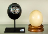 (LOT OF 2) OSTRICH EGGS (Lot o