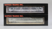 LOT OF 2 RAPIDO TRAINS #17001/