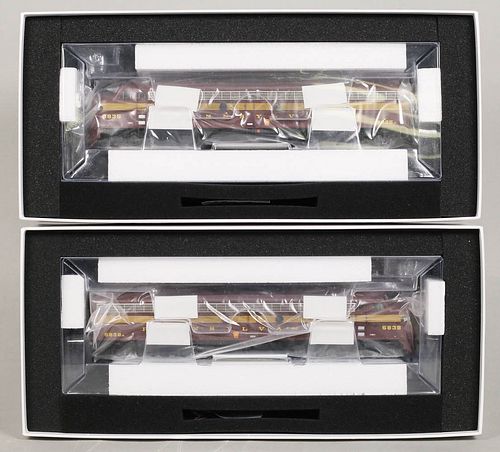 LOT OF 2 RAPIDO TRAINS