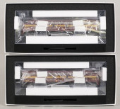LOT OF 2 RAPIDO TRAINS #28031/