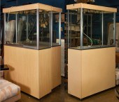 (LOT OF 3) DISPLAY CABINETS (l