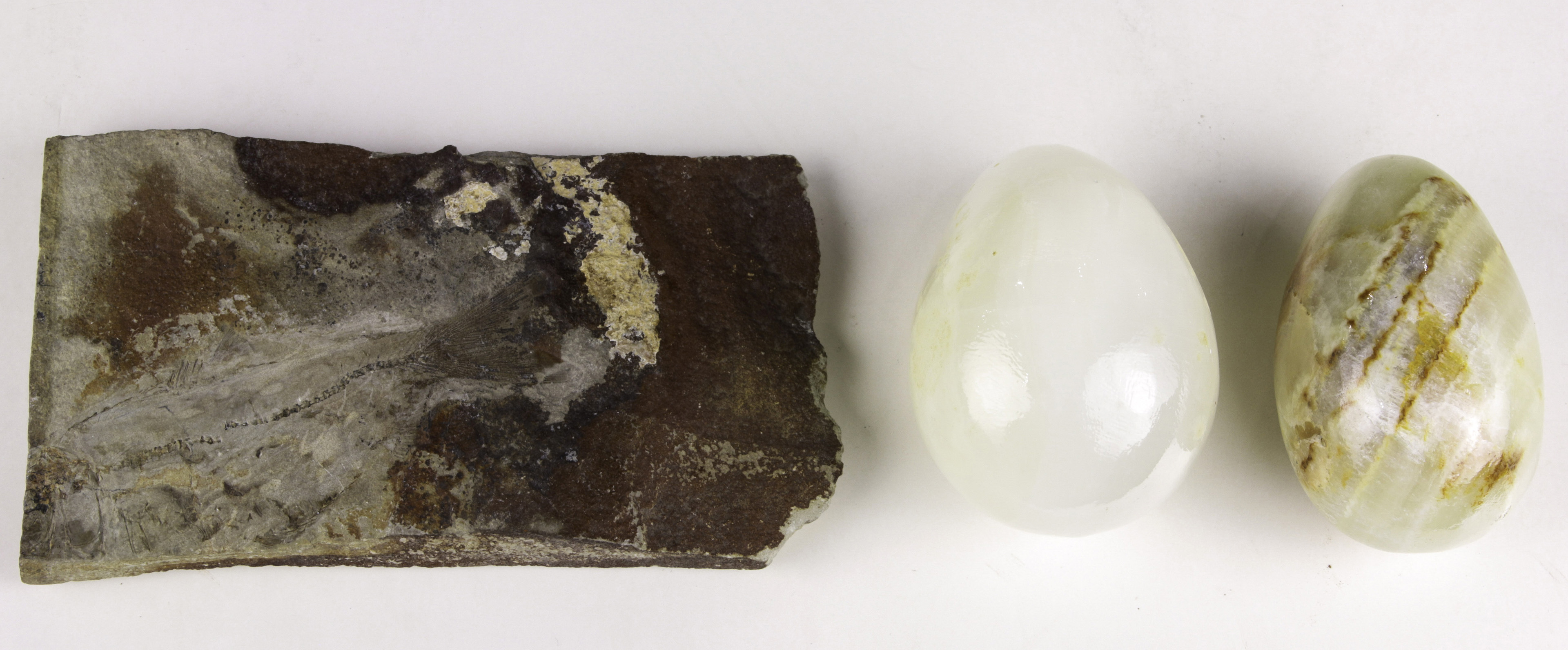 (LOT OF 3) FISH FOSSIL AND (2) ONYX