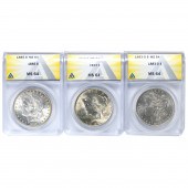 (LOT OF 3) MORGAN/ PEACE SILVE