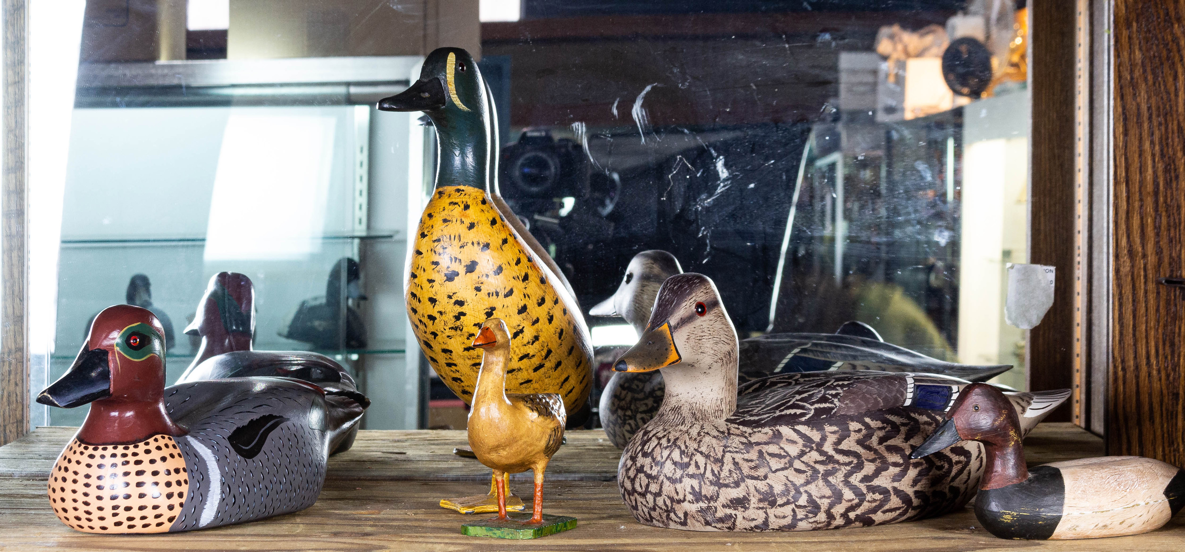 (LOT OF 5) PAINTED DUCK DECOYS: