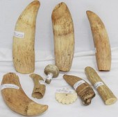 LOT OF 6 19TH CENTURY RAW WHAL