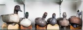 (LOT OF 6) DUCK DECOYS  JIM PI