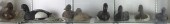 (LOT OF 8) PRIMITIVE PAINTED D