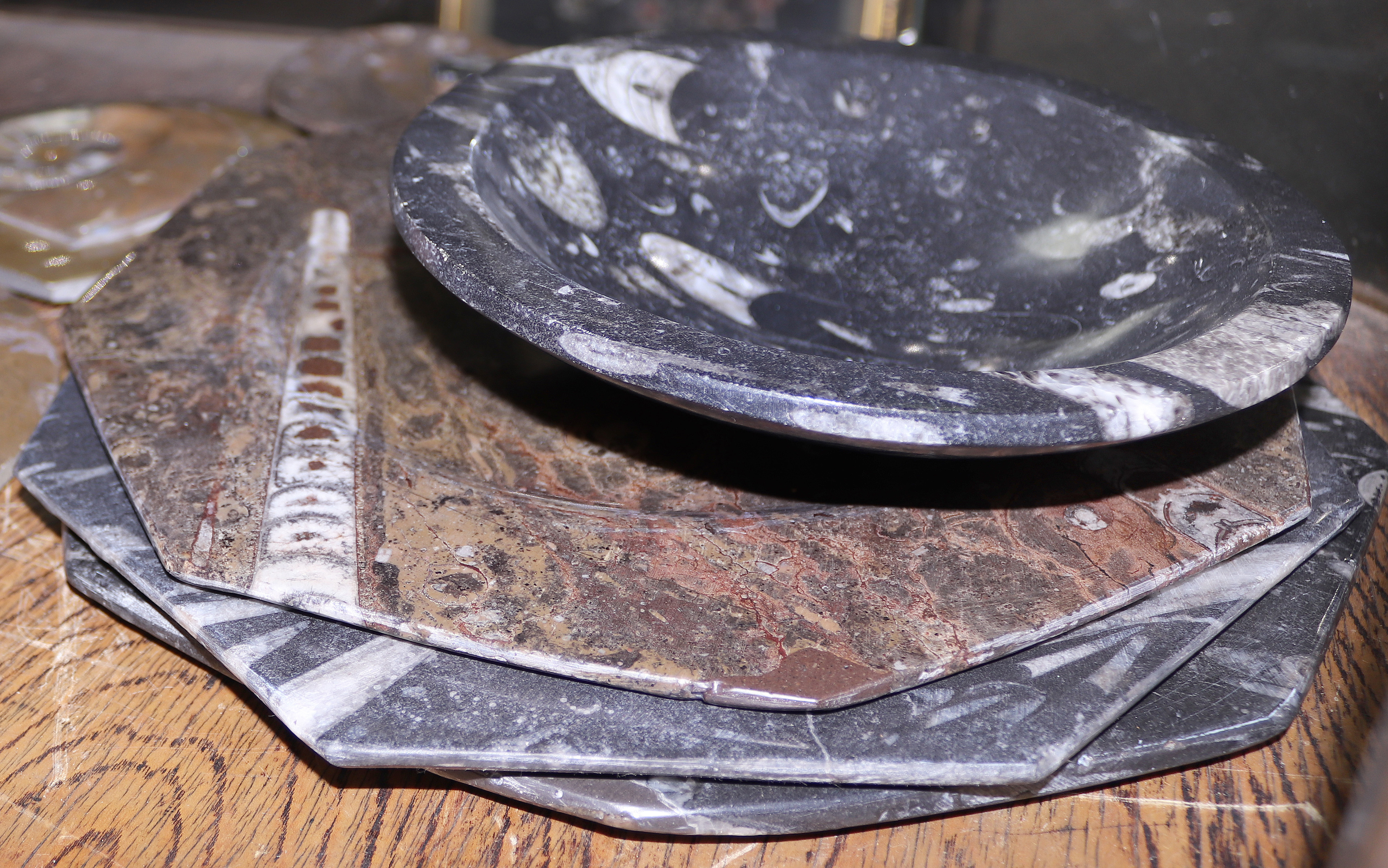 (LOT OF 9) POLISHED FOSSIL FORM