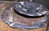 (LOT OF 9) POLISHED FOSSIL FOR