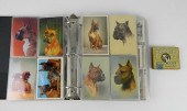 LOT OF DOG THEMED POSTCARDS AN