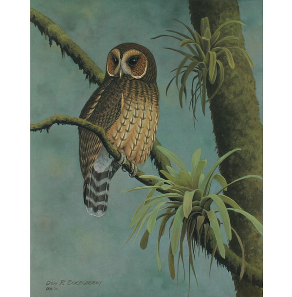 Lot of four ornithological