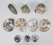 LOT OF MINERALS & FOSSILSLot o