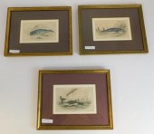 LOT OF THREE 19TH CENTURY WHAL