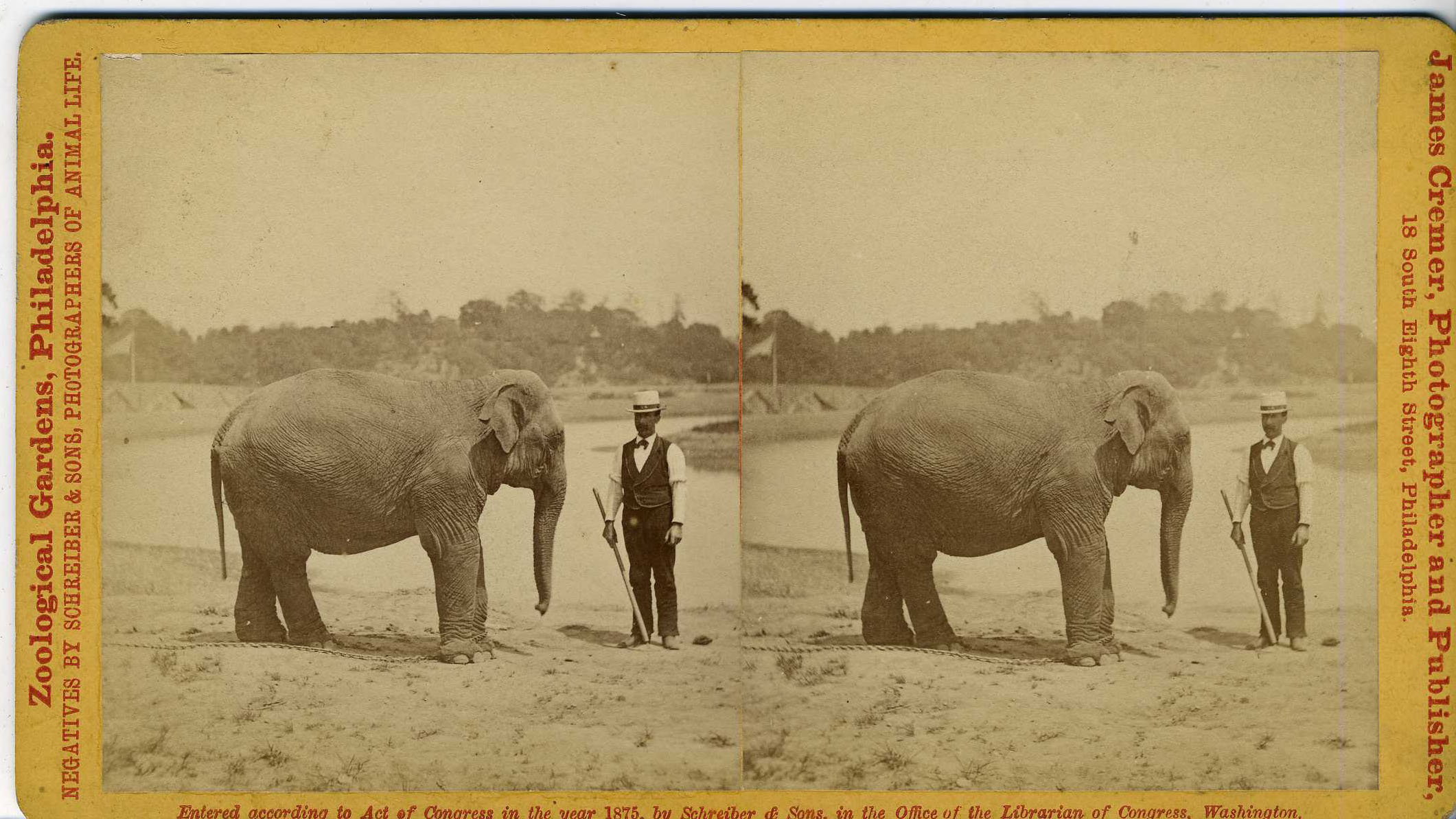 Lot.  Zoological Society of