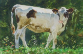 LOU BONAMARTE (CONNECTICUT, 19