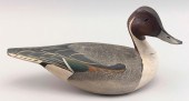 LOU REINERI PINTAIL DRAKE DECO
