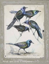 Louis Agassiz Fuertes (America