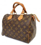 LOUIS VUITTON 'SPEEDY 25' MONO