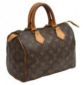 LOUIS VUITTON 'SPEEDY 25' MONO