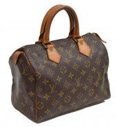 LOUIS VUITTON 'SPEEDY 25' MONO