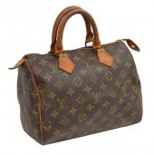 LOUIS VUITTON 'SPEEDY 25' MONO