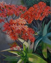 LOUISA MILLER , "TWO ALOES, PA