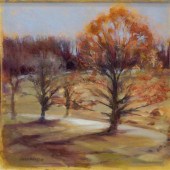 LOUISE CLEARFIELD (AMERICAN B.