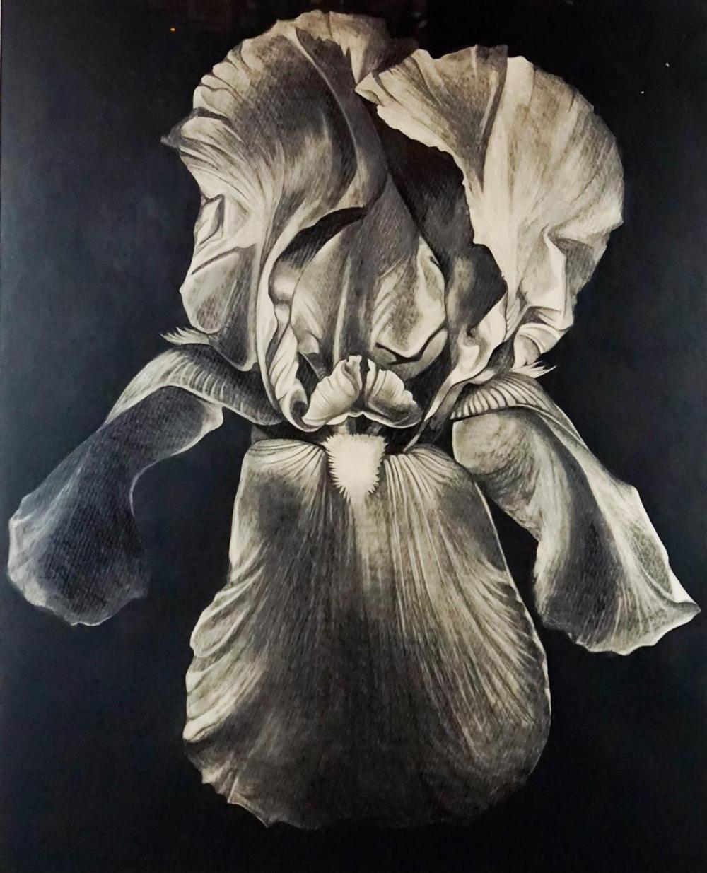 LOWELL NESBITT (AMERICAN,