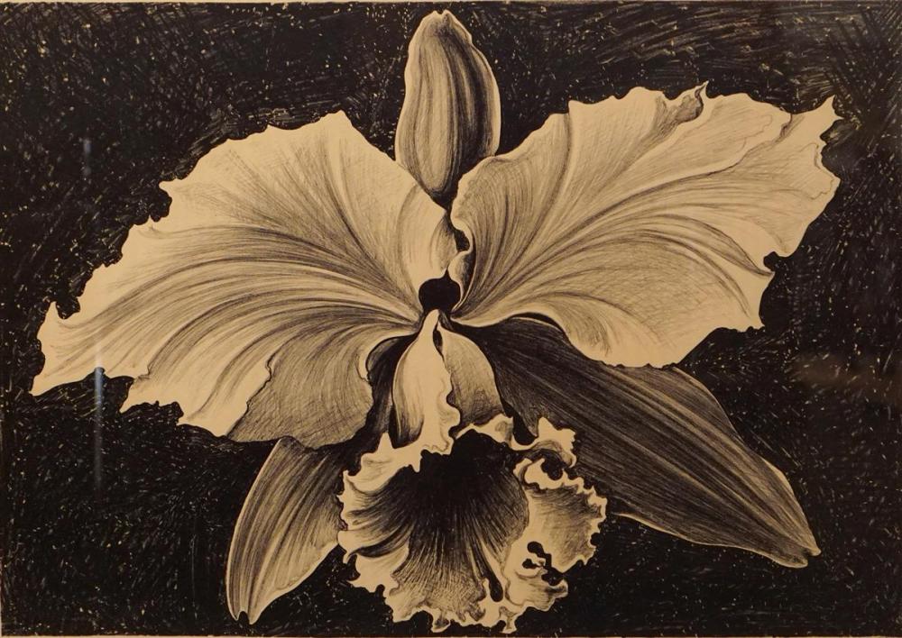 LOWELL NESBITT (AMERICAN,