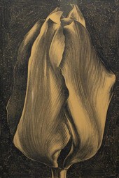 LOWELL NESBITT (AMERICAN, 1933