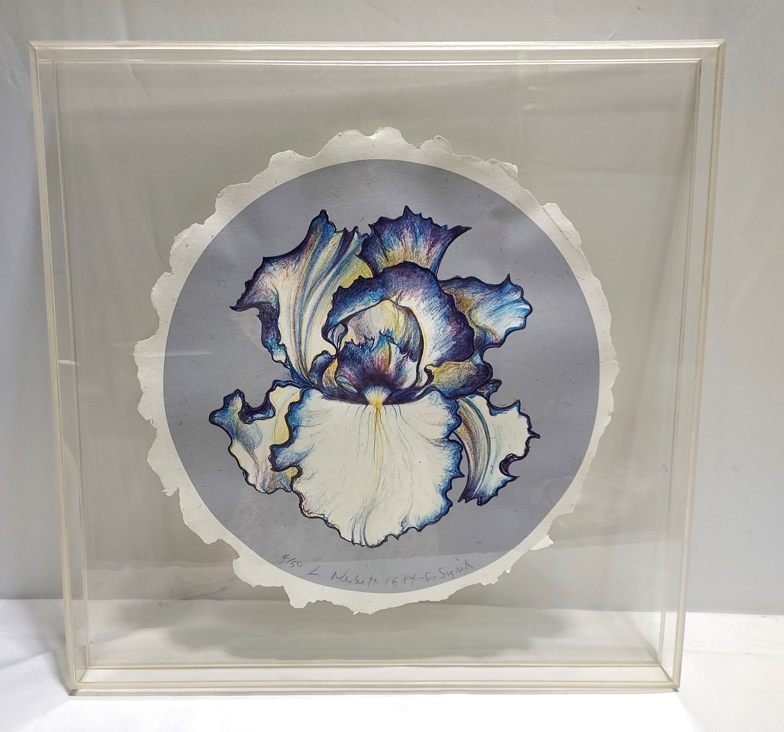 LOWELL NESBITT FRAMED LITHOGRAPH: