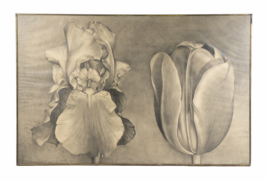 LOWELL NESBITT (NY/MD, 1933-1993)
