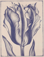 LOWELL NESBITT - PURPLE "TULIP