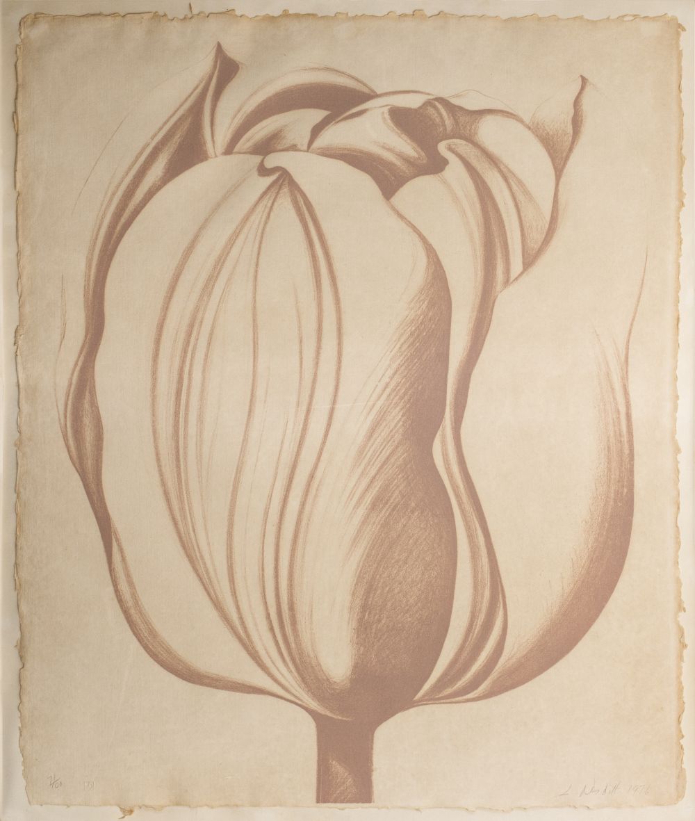 LOWELL NESBITT "TULIP"