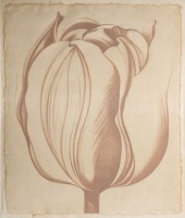 LOWELL NESBITT "TULIP" SILKSCR