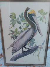 LTD ED. AUDUBON PRINT - BROWN