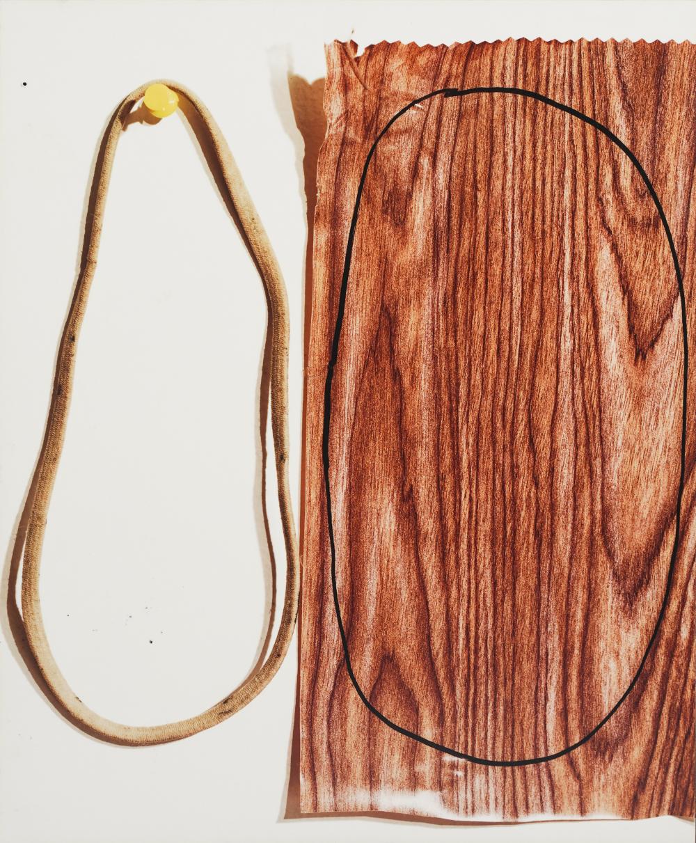 LUCAS BLALOCK (B. 1978): WOOD